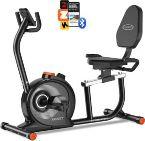 VANNECT Recumbent Magnetic Exercise Bike